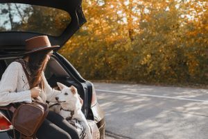 woman and dog on a car
